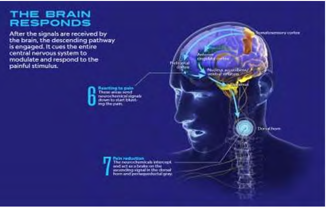 Figure 3: (A World of Pain”, National Geographic Magazine, vol. 1, issue-1, pp. 32-57, (January 2020)).