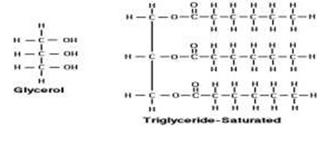 Figure 4: Chemical Compositions of Atoms extracted in Yajna.