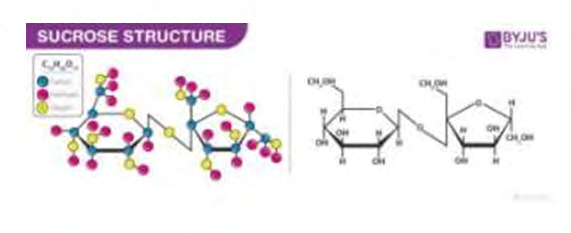 Figure 5: Molecular Structure of Sucrose.