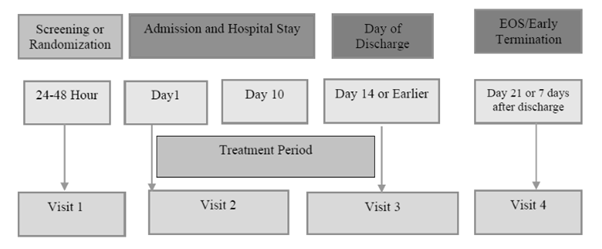 Figure 1: Study scheme.