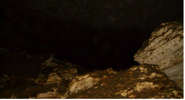 Figure 4: The deep dark zone, with very stable physical parameters with no sunlight. (Locality: El shekh Sayed bat cave, Asyut governorate, Egypt. Photo was taken by Dr. Waill Elkhateeb).