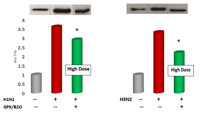 Figure 6: TNF-α Gene Expression in Lung Tissue Level of Mice Challenged by Two Viral Inoculations: Effect of GPK/B2O.