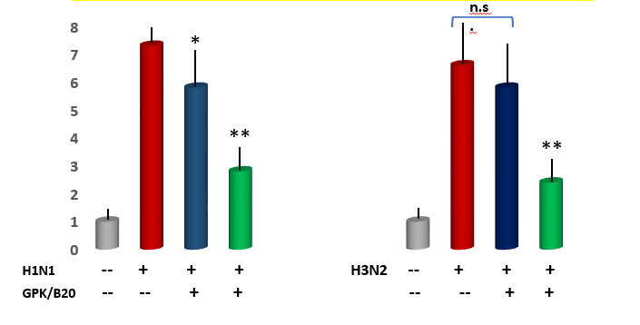 Figure 8: IL-6 Lung Tissue Level in Mice Challenged by Two Viral Inoculations: Effect of GPK/B2O.