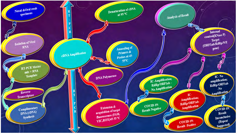 Figure 1: Nutshell of COVID Diagnosis.