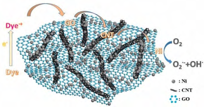 Figure 3: A proposed schematic of the removal mechanism with FGNi nanocomposites [20].