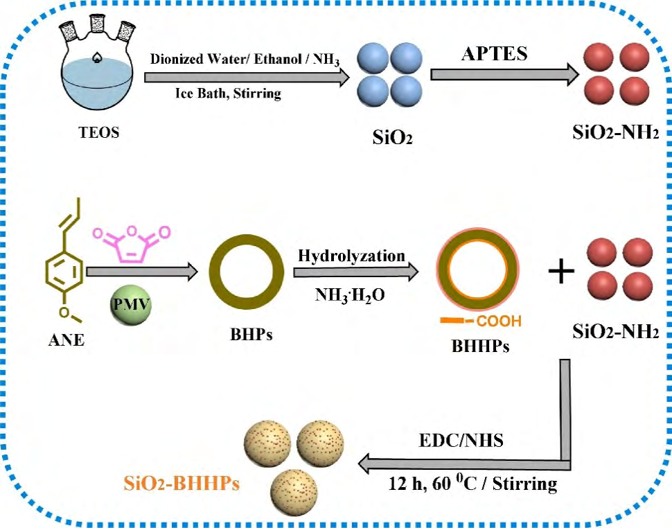 Figure 5: The studies revealed that, the maximum adsorption capacity toward methyl orange dye (MO) reached up to 701 mg/g and the SiO2-BHHPs can be easily recycled and reused.