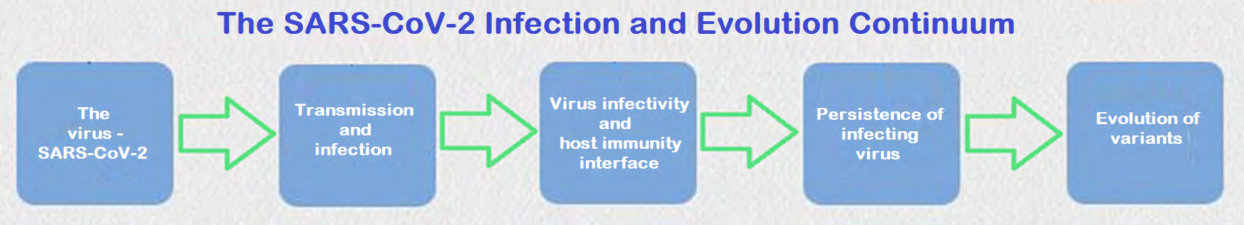 Figure 1: The continuum of SARS-CoV-2 infection and evolution involves the interactions between virus infectivity and host immunity interface - an immunocompromised state leads to persistence of the virus, chronic course of the disease and evolution of mutations and variants.