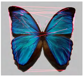 Figure 12: steg1.jpg clone detection.