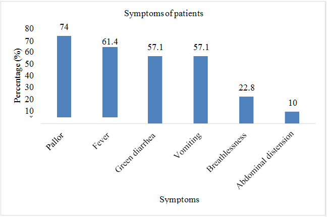 Figure 6: Assessment of the symptoms of thalassemia.