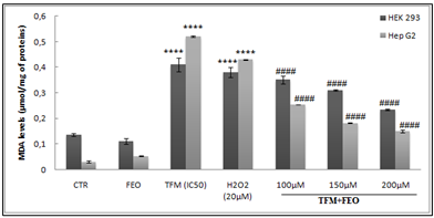 Figure 3: Indeed, we noted that the intoxication of different cells by IC50 of TFM induced a significant increase in the level of MDA. Pretreatment of cells with the FEO, 2 h before their exposure to TFM caused a decrease in the MDA level which drops by 2.66 times compared to cells treated with TFM alone for Hep G2 cells.