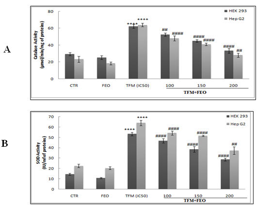 Figure 4: Effects of FEO on the enzymatic activities of CAT (A) and SOD (B) in hepatic and renal cells after their exposure to TFM and FEO. Data are expressed as an average ± standard deviation of three independent experiments. The values are significantly different (p <0.05) compared to the control. **** p <0.0001, statistically significant compared to the control group. (##) <0.01 significantly different from the control; (####) p <0.0001 significantly different compared to cells treated with Triflumuron alone.