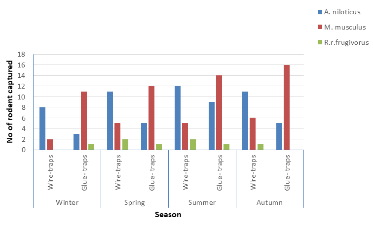 Figure 2: Total numbers of rodent species captured per season when used wire-box and glue traps under field conditions during 2018/2019.