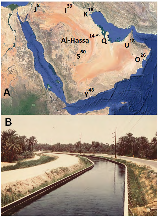 Figure 2: Seasonal mean temperature and relative humidity at Al-Hassa Oasis during study period. Values are mean ± SEM and symbols bearing different letters are significantly different (Tukey’s HSD, P < 0.05).