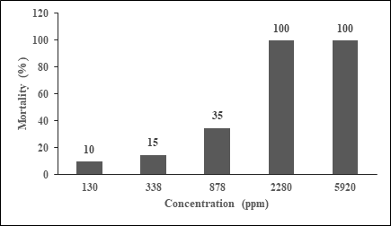 Figure 5: The percentage of mortality with different concentration of sea cucumber Bohadschia sp. extract in observation of toxicity test for 48 hours.