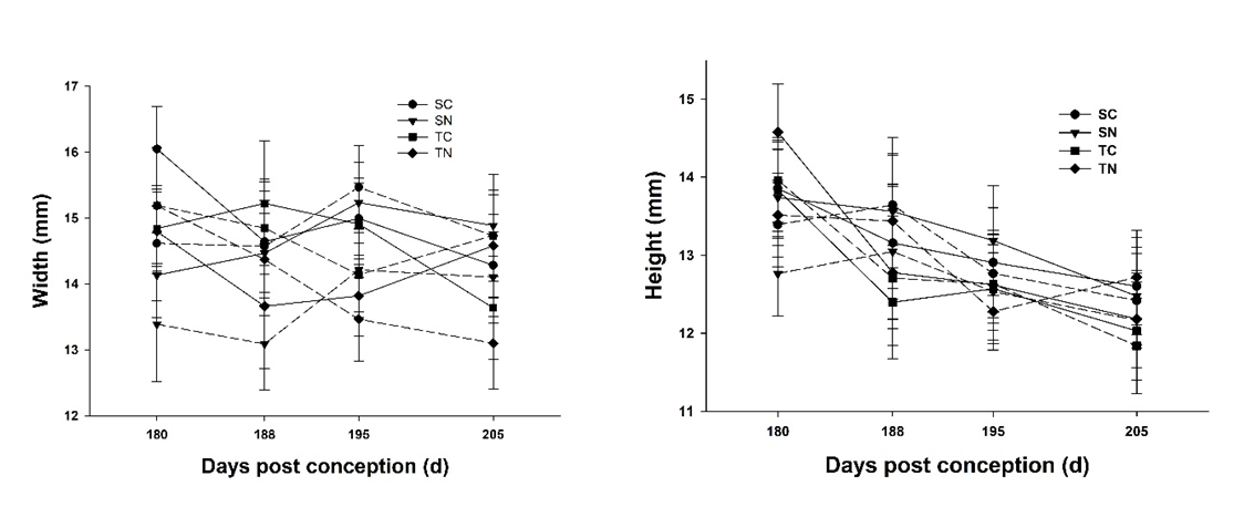 Figure 3: Doppler ultra-sonographic parameters measured on days post conception 180, 188, 195 and 205 in the ipsilateral and contralateral uterine arteries in pregnant, genotyped beef cows and heifers supplemented with rumen-protected niacin and exposed to endophyte-infected tall fescue seeds.