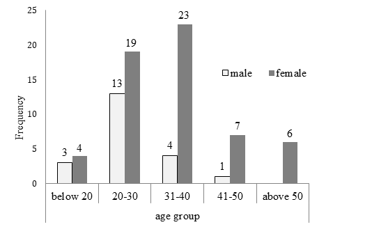 Figure 1: Presentation of vendors by gender and age group.