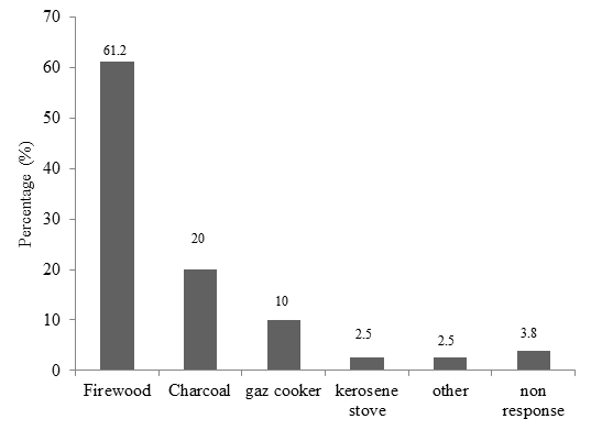 Figure 11: Source of energy used.