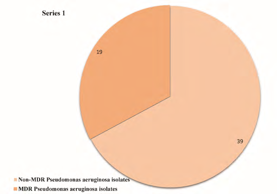 Figure 5: Prevalence of multidrug resistant P. aeruginosa patients infected with P. aeruginosa.