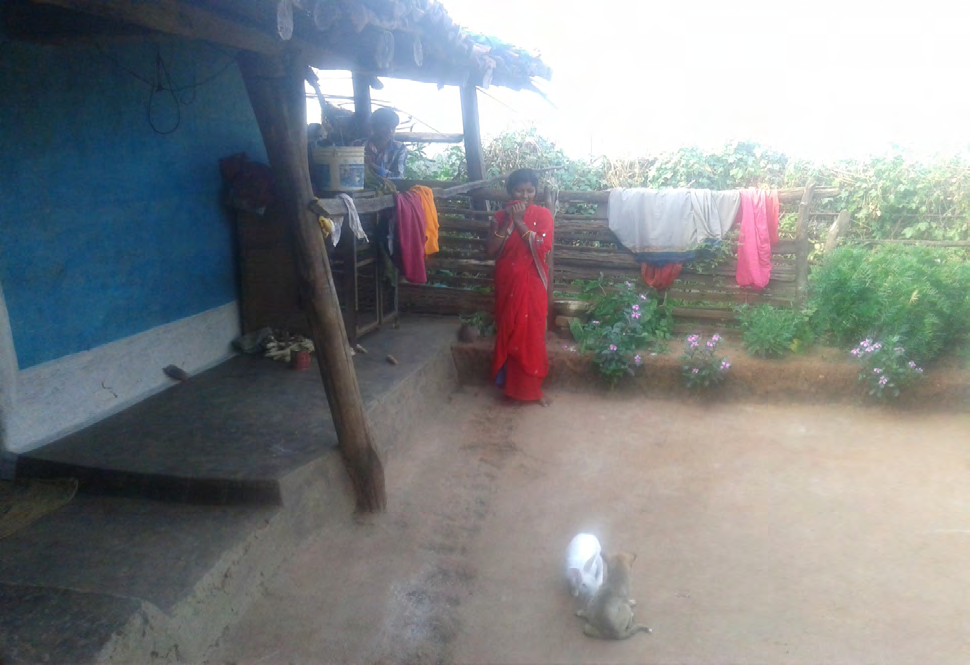 Figure 4: Social Life of Baiga Tribes.