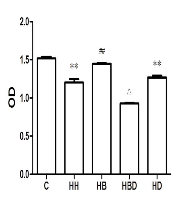 Figure 7: The observation of histomorphology of lung tissue in each group by electron microscope (×5 000).
