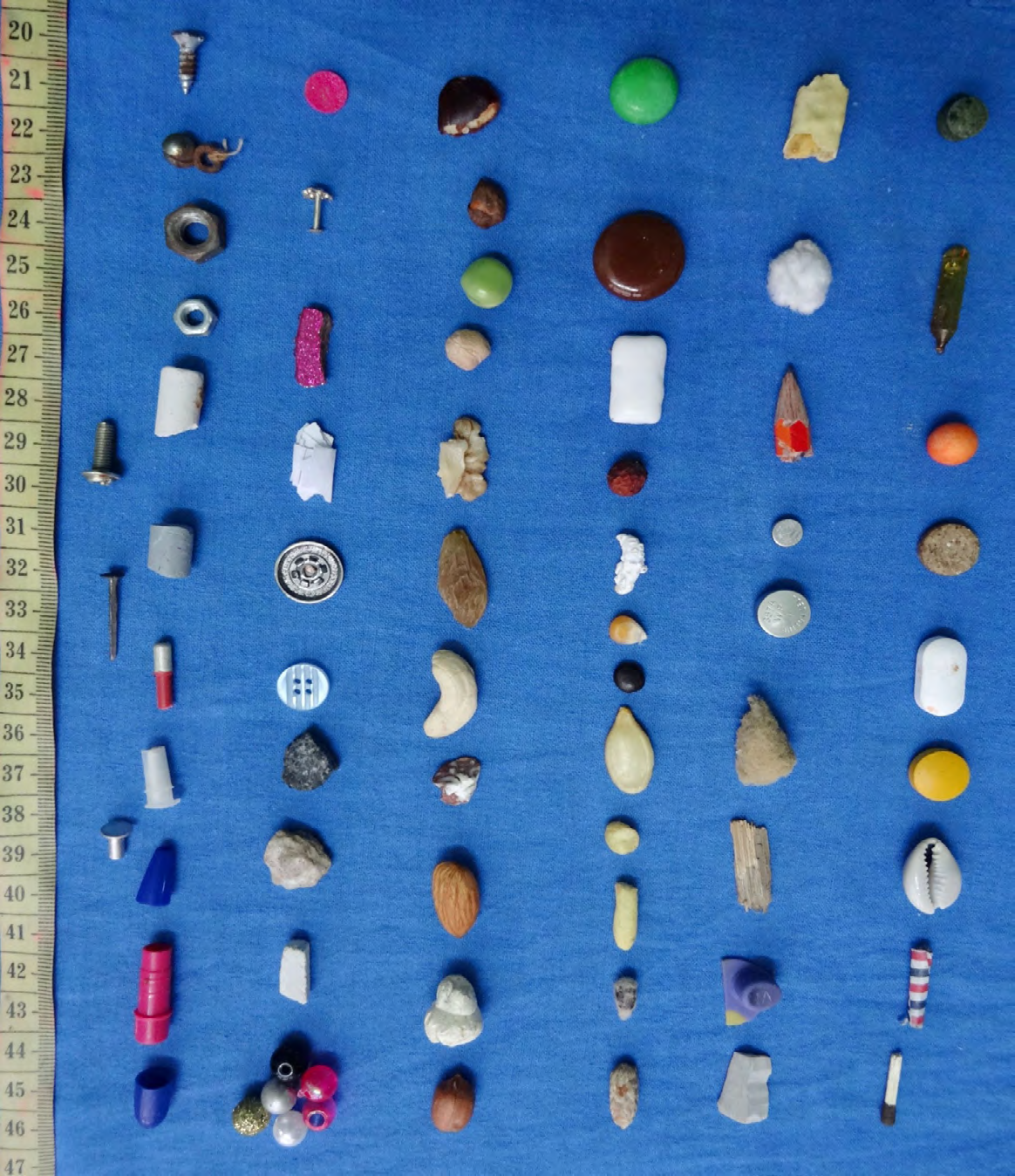 Figure 5: Different types of foreign bodies.