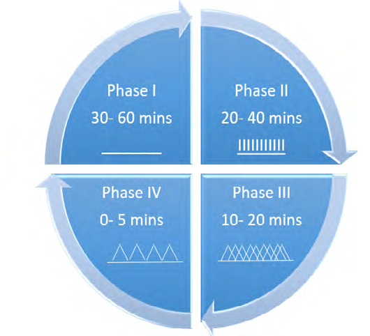 Figure 2: Phases of gastric motility.