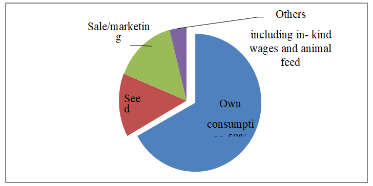 Figure 4: Utilization of wheat among wheat producers (percent of all production) Source: CSA, 2014/15 This difference in output market participation among wheat growers is partly explained by the disparity in the size of farm operated by these farm households as shown on (Figures 5,6).