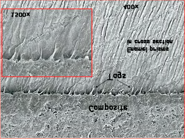 Figure 11: SEM chamber before closure.