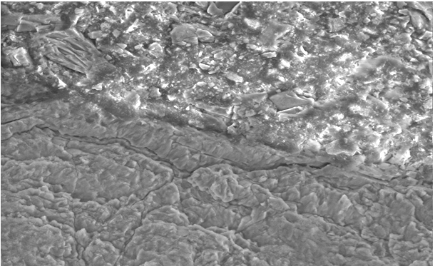 Figure 9: Group A & B specimens loaded on aluminium stubs for SEM study.