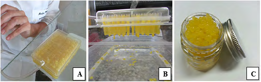 Figure 1: Processing steps of passion fruit microcapsules, using the kit caviar box. (A)-Pulp suction. (B) - Pulp dripping in calcium chloride to obtain microcapsules. (C) Microcapsules.