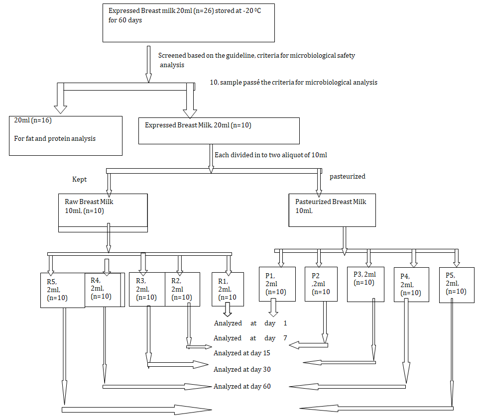 Figure 1: Screened based on the guideline, criteria for microbiological safety analysis.