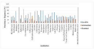 Figure 1: Antibiotic susceptibility profile.