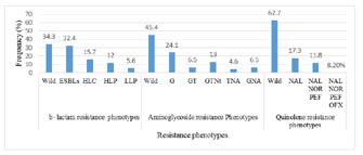 Figure 2: Antibiotic resistance phenotypes of Enterobacter strains.