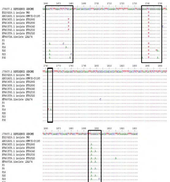 Figure 4: Mutation profiles of patients against the reference genome in NCBI.
