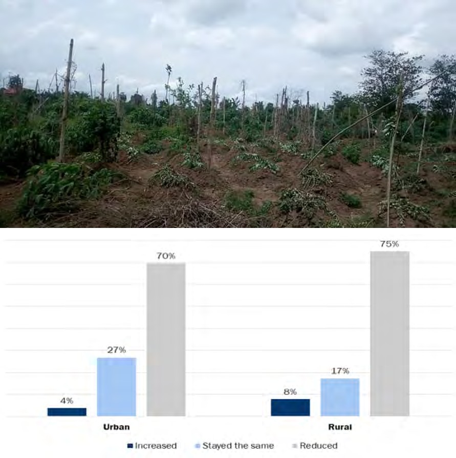Figure 2: Existance of food insecurity reoported by respondents in rural and urban nigeria. Source: World Bank, COVID-19 National Longitudinal Phone Survey (COVID-19 NLPS) 2020. Respondents were asked: ‘Did you or any other adult in your household have to skip a meal?’