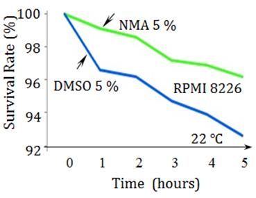 Figure 4: Survival rate of RPMI8226 cells over the course of 5 h of incubation with cryopreservative solution at room temperature (22°C). RPMI8226 cells incubated with NMA showed a survival rate of 96%, compared to under 93% for RPMI8226 cells incubated with DMSO. These measurement conditions correspond to the pre-freezing state after adding the cryopreservative, as well as to the post-thawing state with incomplete removal of the cryopreservative. DMSO: dimethyl sulfoxide; NMA: N-methylacetamide.