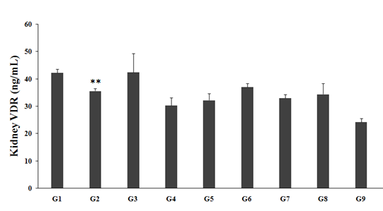 Figure 2: The level of kidney VDR in the unpredictable chronic stress group (G2) was 35.61 ± 0.92 ng/mL, which was significantly (p≤0.01) decreased by 15.74% as compared with the normal control (G1, 42.26 ± 1.4 ng/mL). Imipramine treatment (G3) increased kidney VDR level (42.40 ± 6.9 ng/mL) by 19.1% as compared to the G2. Untreated test formulation to the untreated rats (G4) decreased kidney VDR level (30.33 ± 2.77 ng/mL) by 14.82% as compared to the G2. Biofield Energy Treated test formulation to the untreated rats (G5) showed a decreased kidney VDR level (32.24 ± 2.4 ng/mL) as compared to G2, while it was increased by 6.3% as compared to the G4. Biofield Energy Treatment to the rats (G6) showed increased kidney VDR level (37.08 ± 1.4 ng/ mL) by 4.1% and 22.3% as compared to G2 and G4 groups, respectively. 15 days pre-treatment of Biofield Energy Treated test formulation (G7) showed a decreased kidney VDR level (33.06 ± 1.3 ng/mL) as compared to G2, while it was increased by 9% as compared to the G4. 15 days pre- treatment of Biofield Energy Treated test formulation to the Biofield treated rats (G8) showed a decreased kidney VDR level (34.45 ± 3.9 ng/mL) as compared to and increased with the percentage change of 13.6%, when compared to G4. Untreated test formulation to the Biofield Energy Treated rats (G9) showed a decreased kidney VDR level (24.27 ± 1.2 ng/mL) by 31.8% and 20% as compared to the G2 and G4 groups, respectively. VDR is one of the best biomarker and therapeutic target for various kidney diseases; it is present in more than 30 classic and non-classical tissues such as intestine, kidney, cartilage, bone, activated B, and T lymphocytes [38]. Vitamin D deficiency significantly affects the VDR activity that results in kidney disease pathogenesis, as they are present in the proximal and distal tubular epithelial cells, podocytes, and collecting duct epithelial cells [39,40]. Thus, the experimental data suggested that Biofield Energy Healing Treatment per se and the test formulation play a significant role in VDR activity in kidney, which directly improved various kidney diseases.