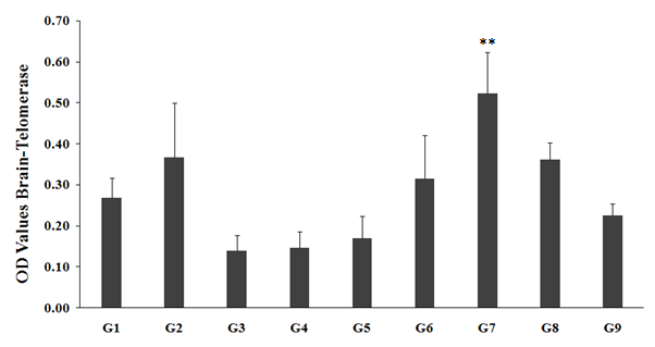 Figure 4: The level of brain telomerase activity in unpredictable chronic stress (G2) was 0.367 ± 0.133, as compared to the normal control (G1, 0.269 ± 0.048). Imipramine treatment (G3) showed decreased value by 61.9% (0.140 ± 0.037) as compared to the G2. The untreated test formulation to the untreated rats (G4) showed a decreased value of brain telomerase by 60.2% (0.146 ± 0.040) as compared to the G2. However, the G5, G6, G8, and G9 groups showed a significant decreased telomerase activity by 53.5%, 14.1%, 1.4%, and 38.5%, respectively as compared to the G2. However, the telomerase activity in the G5, G6, G7, G8, and G9 groups were significantly increased by 16.9%, 116%, 258.6% (p≤0.01), 148.1%, and 54.7%, respectively as compared to the G4 group. Chronic or long term stress contributes to various forms of diseases, which results in huge damage to telomeres, the protective non-coding segments on the ends of chromosomes. Stress and altered telomerase activity results in stressed, depressed, anxious, or previously traumatized conditions, which hampers the overall activity of telomeres [44,45]. In conclusion, the present data suggested that Biofield Energy Healing Treatment per se and the test formulation play a significant role in telomerase assay in nervous system, which directly improved various stress disorders.