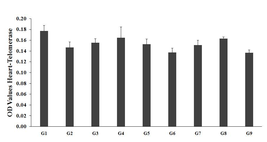 Figure 5: The level of heart telomerase activity in unpredictable chronic stress (G2) was 0.146 ± 0.010, as compared to the normal control (G1, 0.177 ± 0.010). Imipramine treatment (G3) showed changed value as 0.155 ± 0.008 as compared to the G2. Untreated test formulation to the untreated rats (G4) showed an increased value of heart telomerase by 12.5% (0.165 ± 0.020) as compared to the G2. However, G5, G7, and G8 groups showed an increased heart telomerase activity by 4%, 2.9%, and 11.1%, respectively as compared to the G2. However, the heart telomerase activity in the G5, G6, G7, G8, and G9 groups were decreased by 7.6%, 16.7%, 8.5%, 1.2%, and 17%, respectively as compared to the G4. The role of telomerase in heart has been reported scientifically in the aging process and their association with cardiovascular diseases, besides telomere length is used as the biomarker of various coronary artery diseases [46,47].