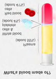 Figure 1: Whole blood and its component.