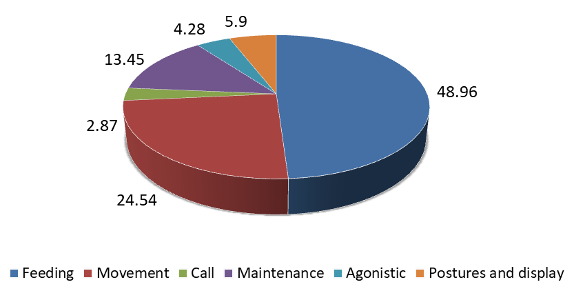 Figure 5: Overall percentage of different activities by Common Moorhen.