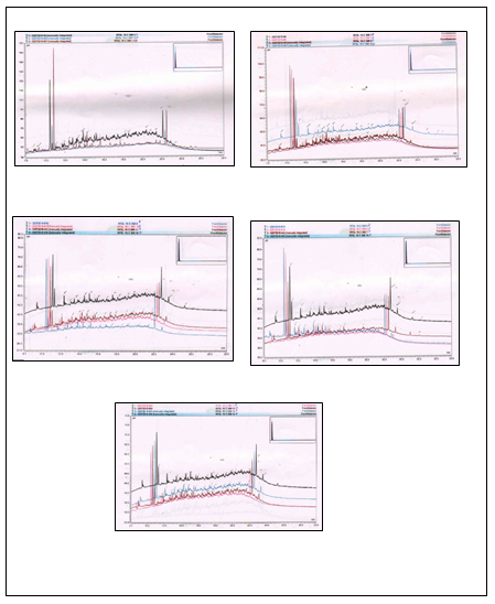 Figure 2: GC parameters were as below: