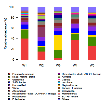 Figure 2: Genus abundance (%) of water at Yesso scallop larval development stages. Note: sequences abundance less than 1% at a stage was combined into “others”.