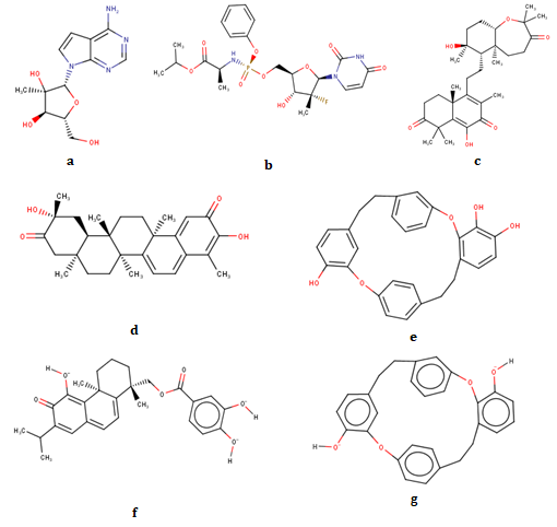 Figure 2: Molecular structures of template compounds: (a) 7MDA, (b) Sofosbuvir; and top 5 test compounds i.e. SANC00235 (c) SANC00257 (d) SANC00772 (e) SANC00373 (f) and SANC00768 (g).