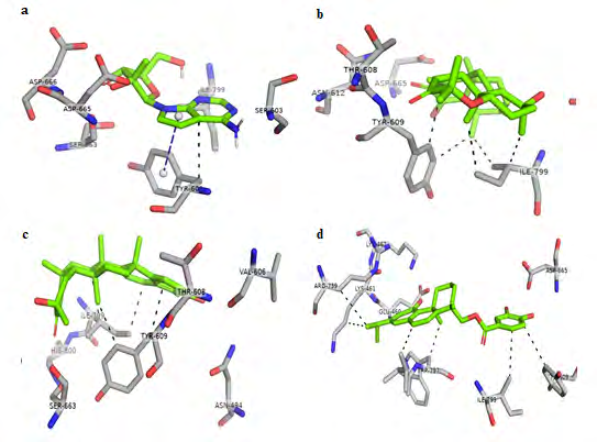 Figure 4: Pie stacking and hydrophobic interactions of: (a) 7DMA, (b) SANC00235, (c) SANC00257, and (d) SANC00373 with zika virus’s NS5 domain.