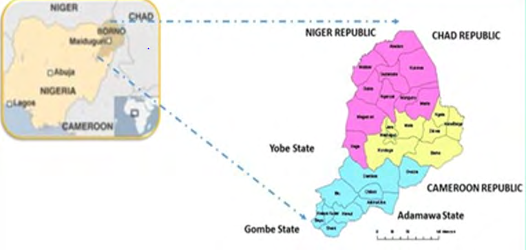 Figure 1: Administrative Map of Borno State Showing 27 Local Government Areas & 3 Senatorial Zones.
