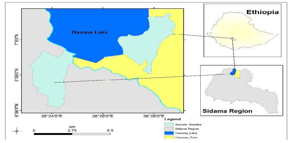 Figure 1: Map of the study area. Source: CSA 2007 Census Administrative Boundaries of Ethiopia.