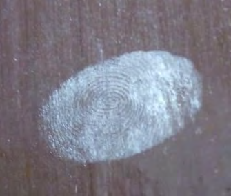 Figure 10: Development of Latent Fingerprint with the help of table salt powder on Non-Porous Door surface.