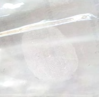Figure 3: Development of Latent Fingerprint with the help of table salt powder on Non-Porous plastic surface.