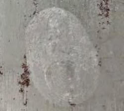 Figure 4: Development of Latent Fingerprint with the help of sugar powder on Non-Porous Metal surface.